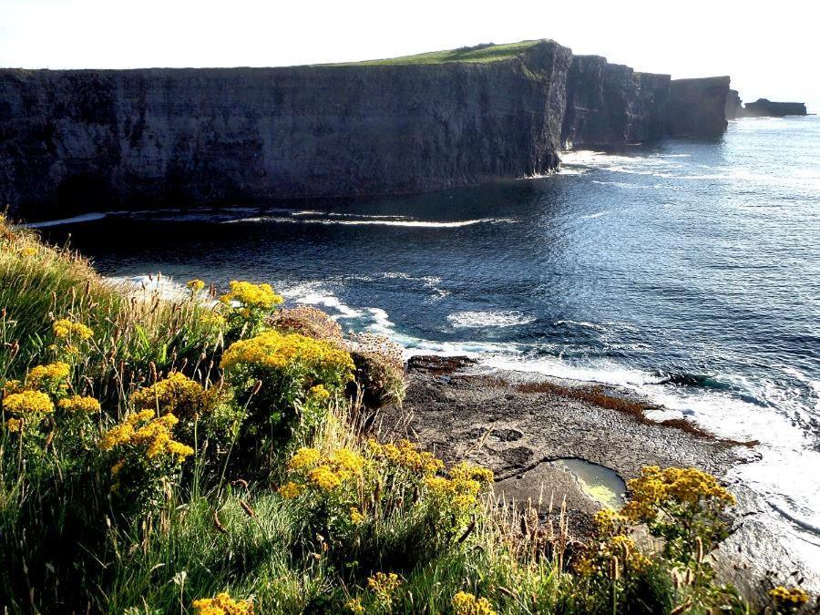 Bealaha House Bed & Breakfast Doonbeg Dış mekan fotoğraf