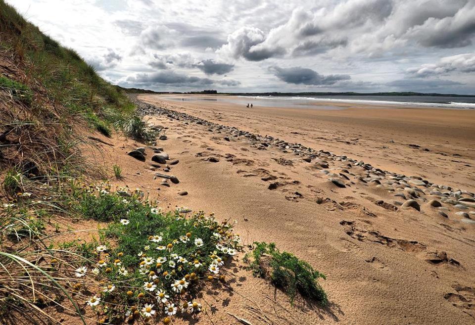 Bealaha House Bed & Breakfast Doonbeg Dış mekan fotoğraf